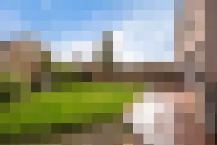 Horst 28 38 Lelystad thumbnail 36