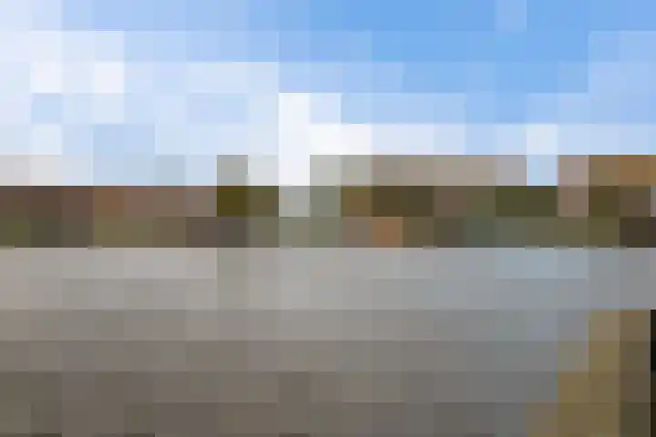Horst 28 38 Lelystad thumbnail 39