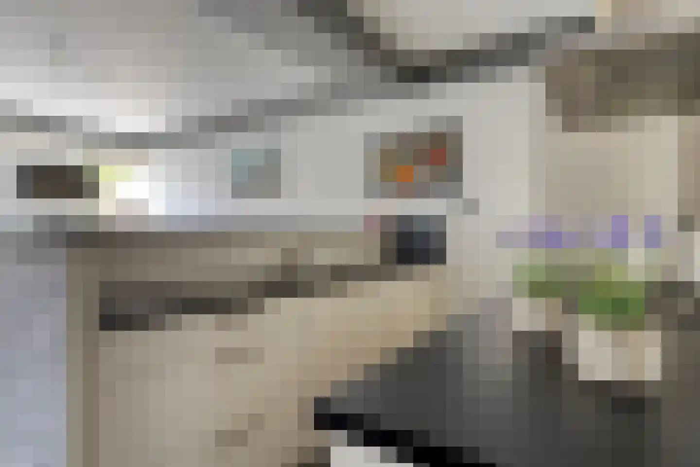 Horst 28 Veldhoven thumbnail 12