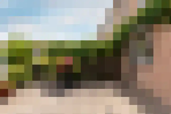 Horst 29 29 7 Lelystad thumbnail 24