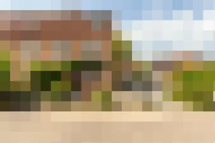 Horst 29 7 Lelystad thumbnail 26
