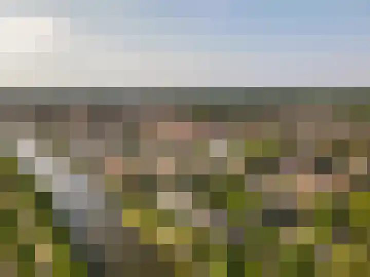 Horst 29 7 Lelystad thumbnail 33