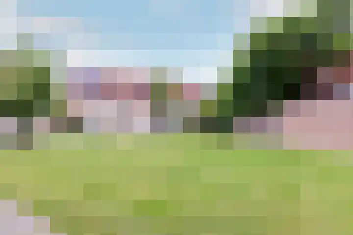 Horst 30 30 44 Lelystad thumbnail 22
