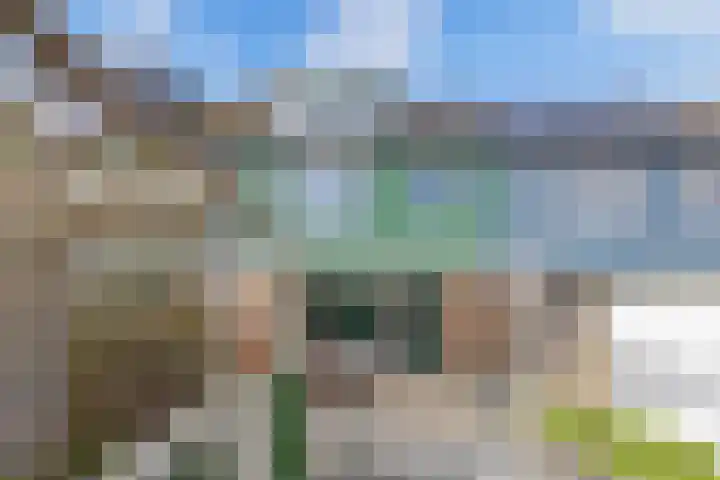 Horst 31 6 Lelystad thumbnail 36