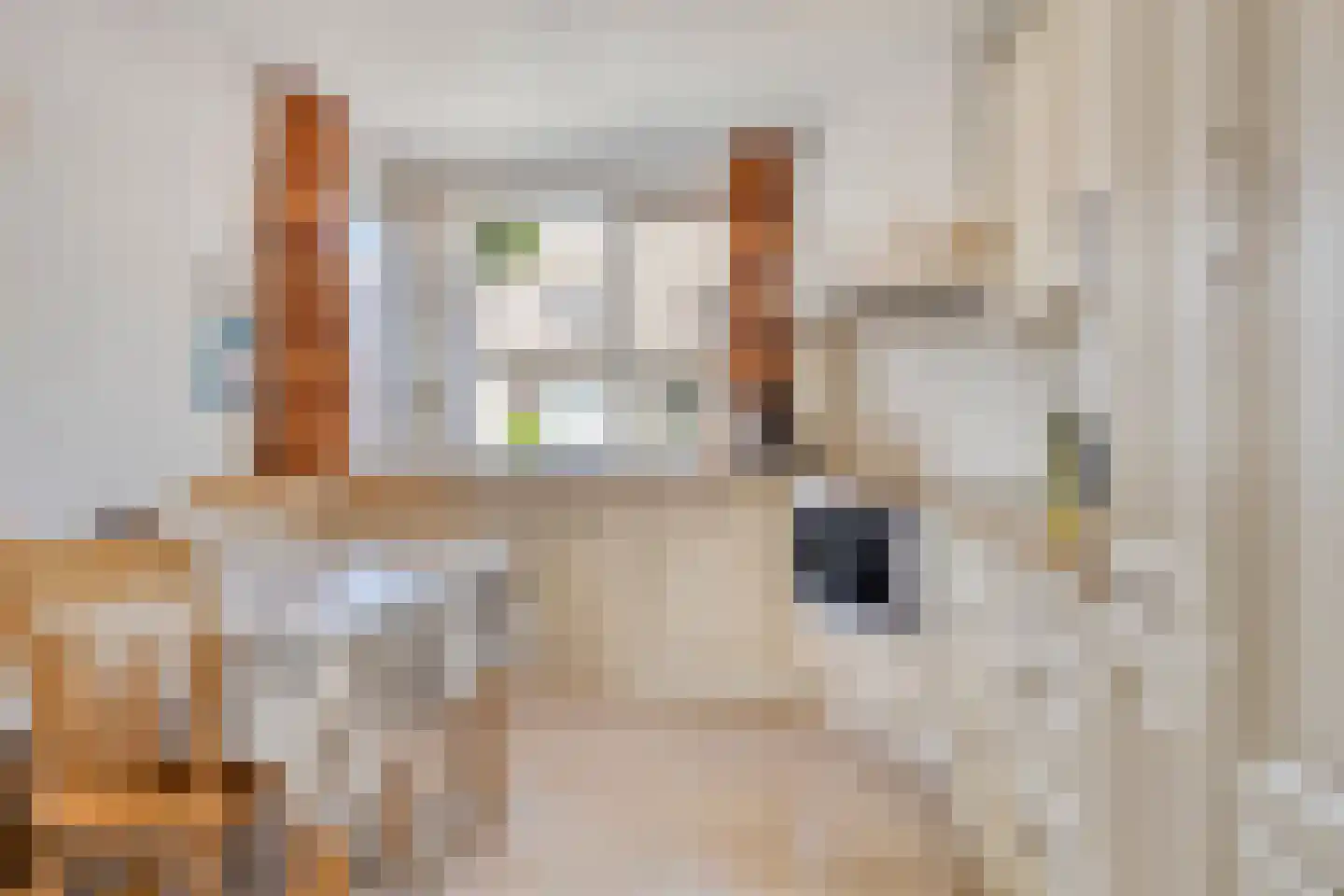Horst 31 Chaam thumbnail 19