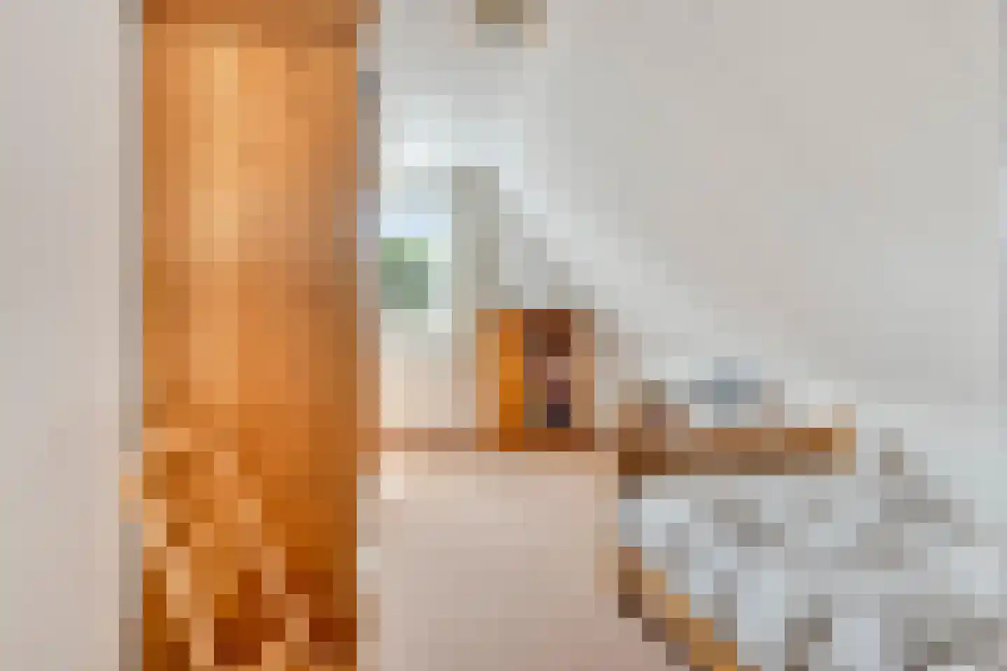 Horst 31 Chaam thumbnail 34