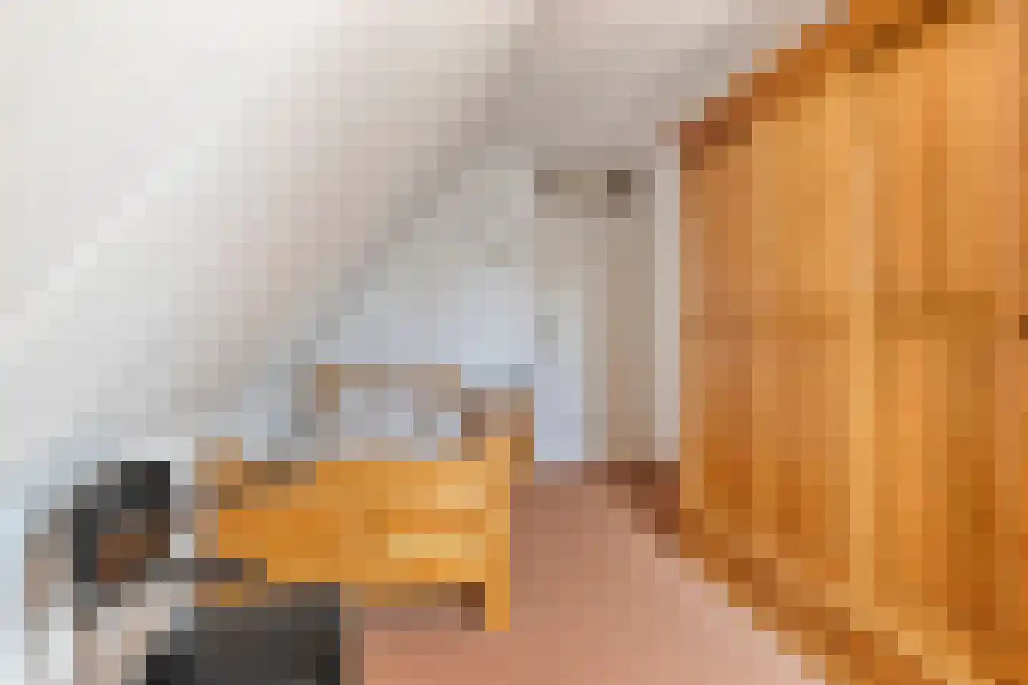 Horst 31 Chaam thumbnail 36