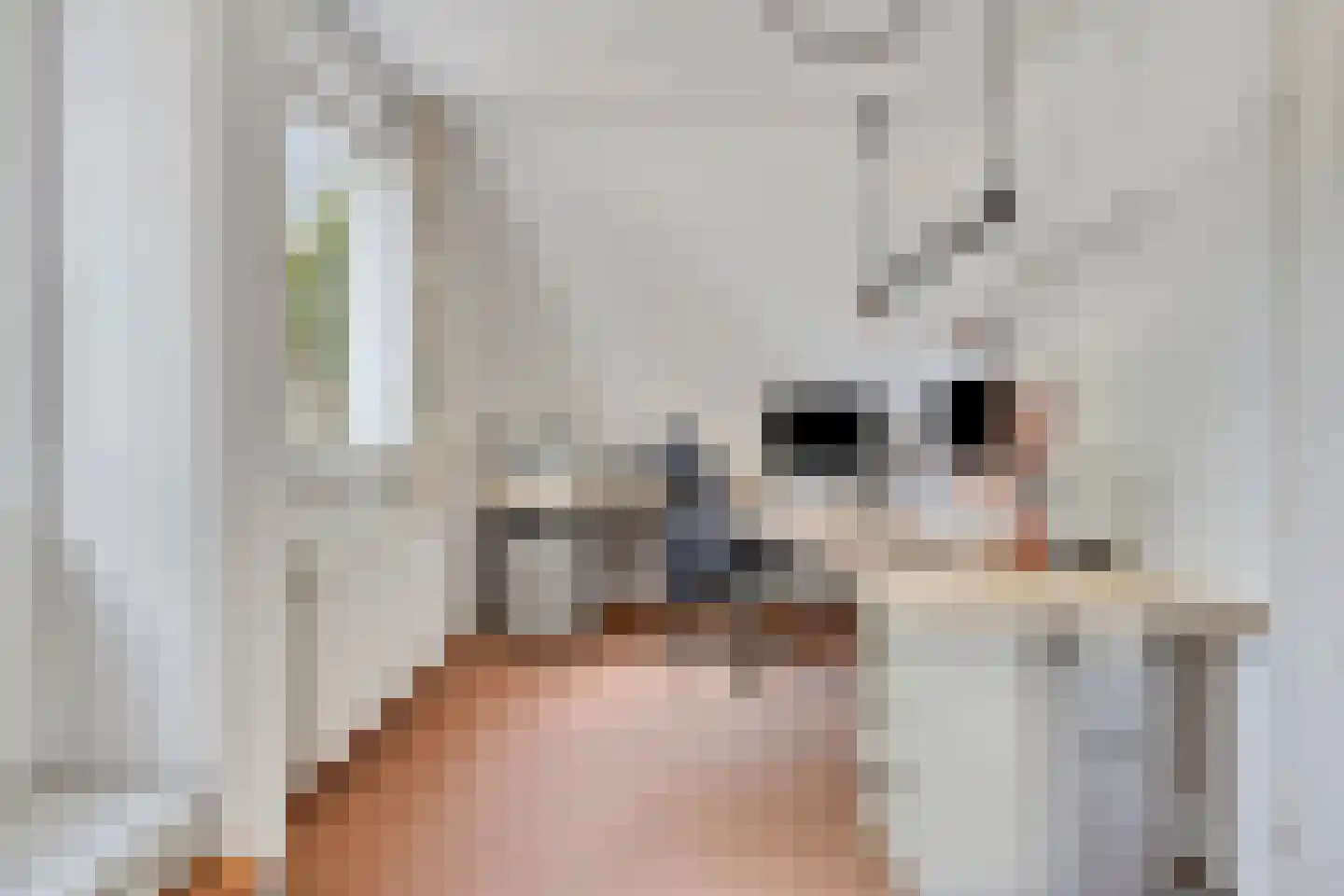 Horst 31 Chaam thumbnail 39