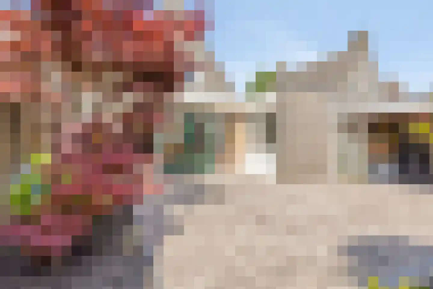 Horst 31 Chaam thumbnail 44