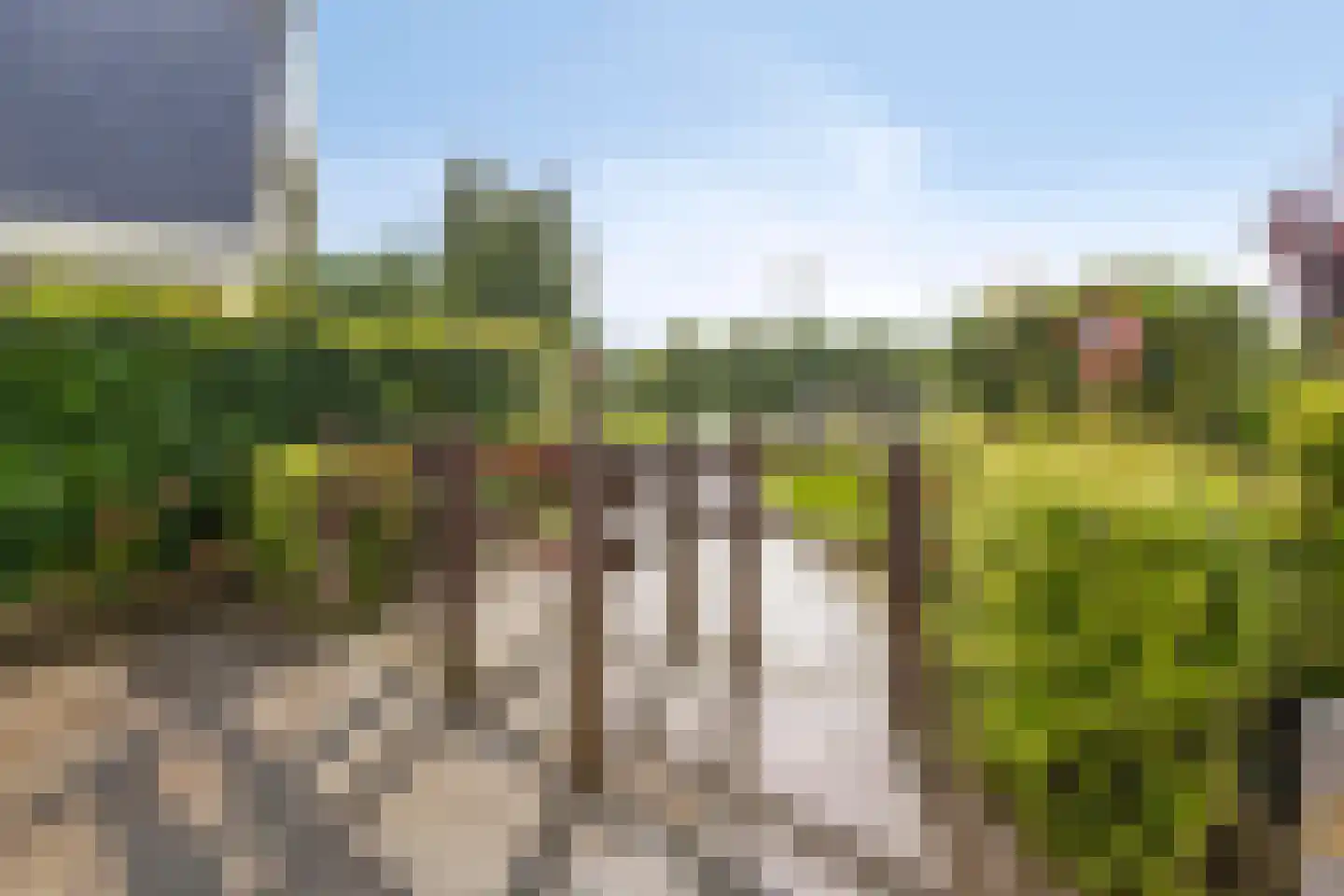 Horst 31 Chaam thumbnail 48