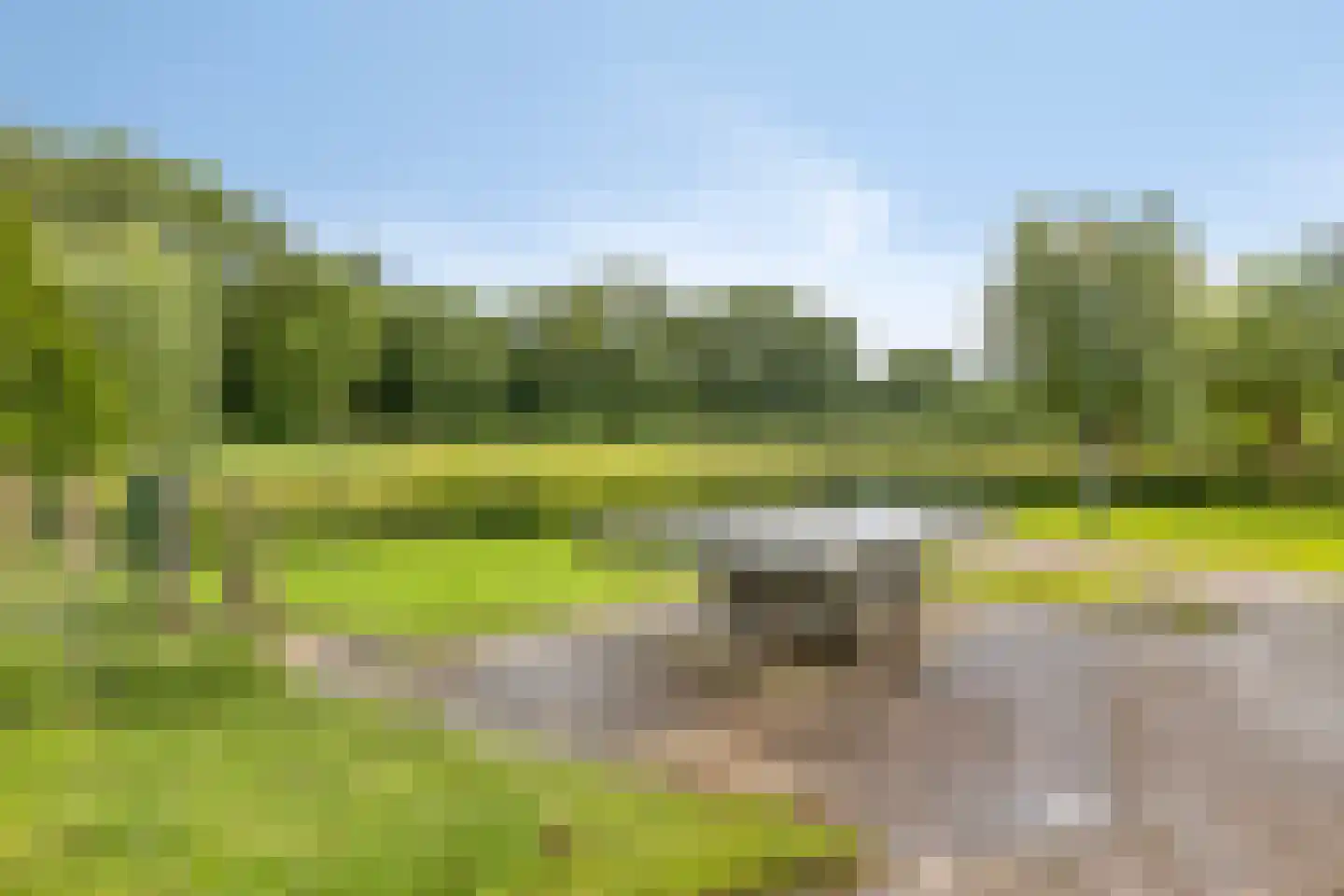 Horst 31 Chaam thumbnail 52