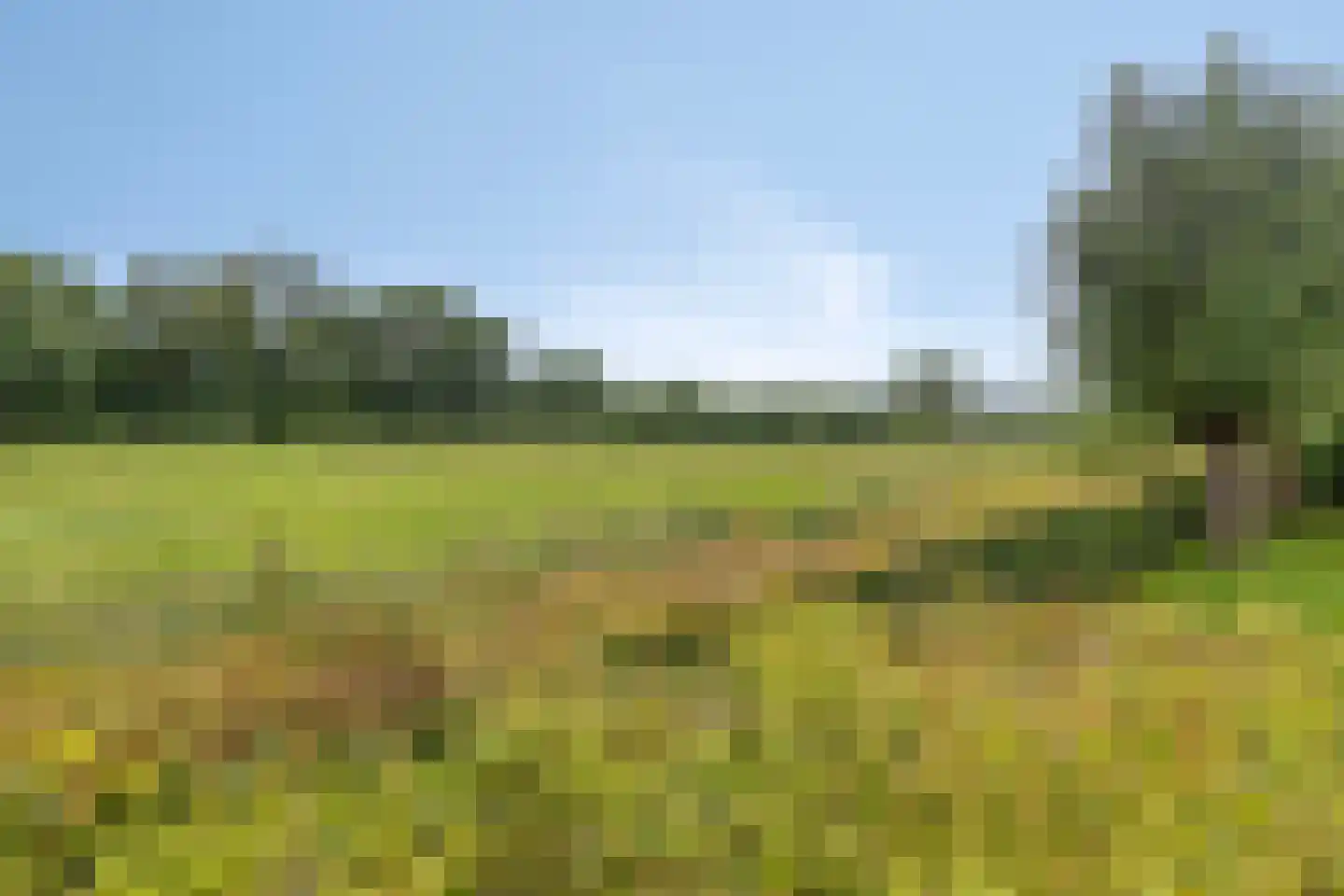 Horst 31 Chaam thumbnail 53