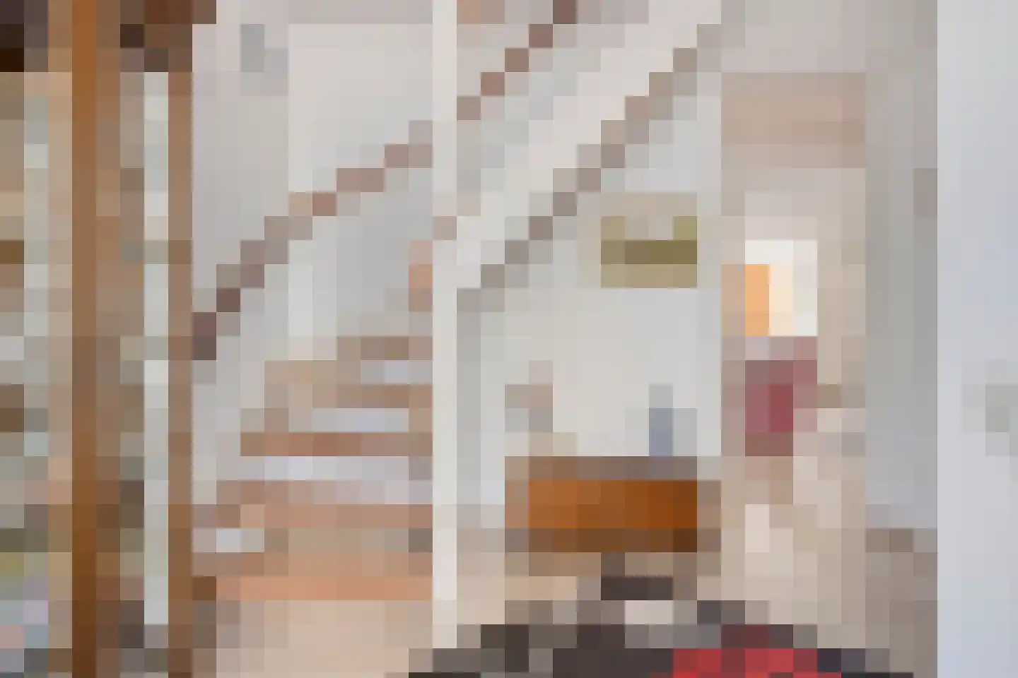Horst 31 Chaam thumbnail 6
