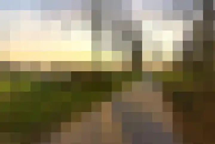 Horst 32 16 Lelystad thumbnail 46