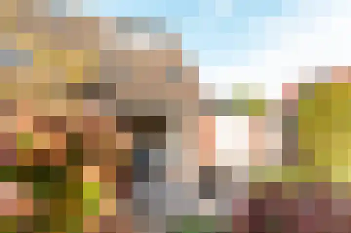 Horst 32 32 34 Lelystad thumbnail 36