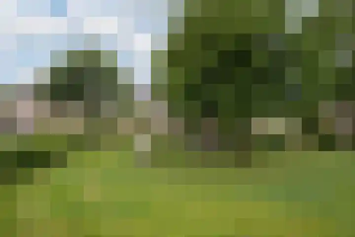 Horst 32 32 4 Lelystad thumbnail 25