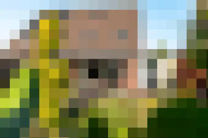 Horst 32 32 4 Lelystad thumbnail 32