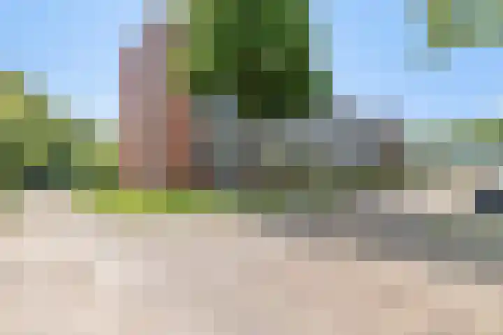 Horst 32 32 4 Lelystad thumbnail 38