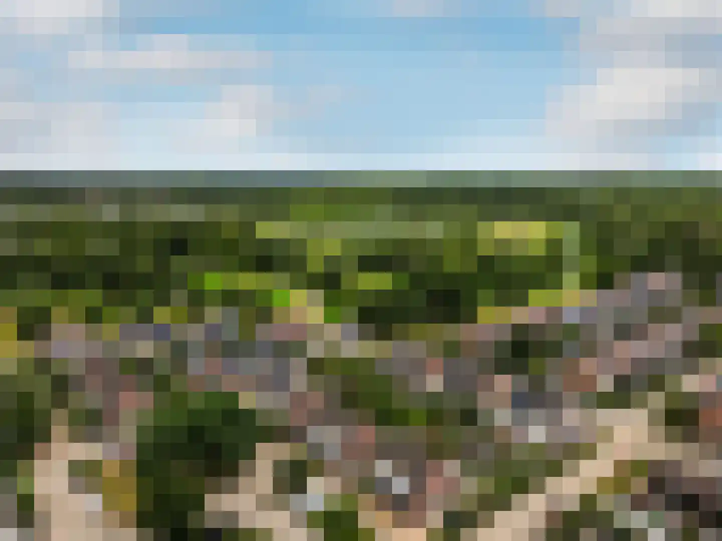 Horst 32 5 Lelystad thumbnail 47
