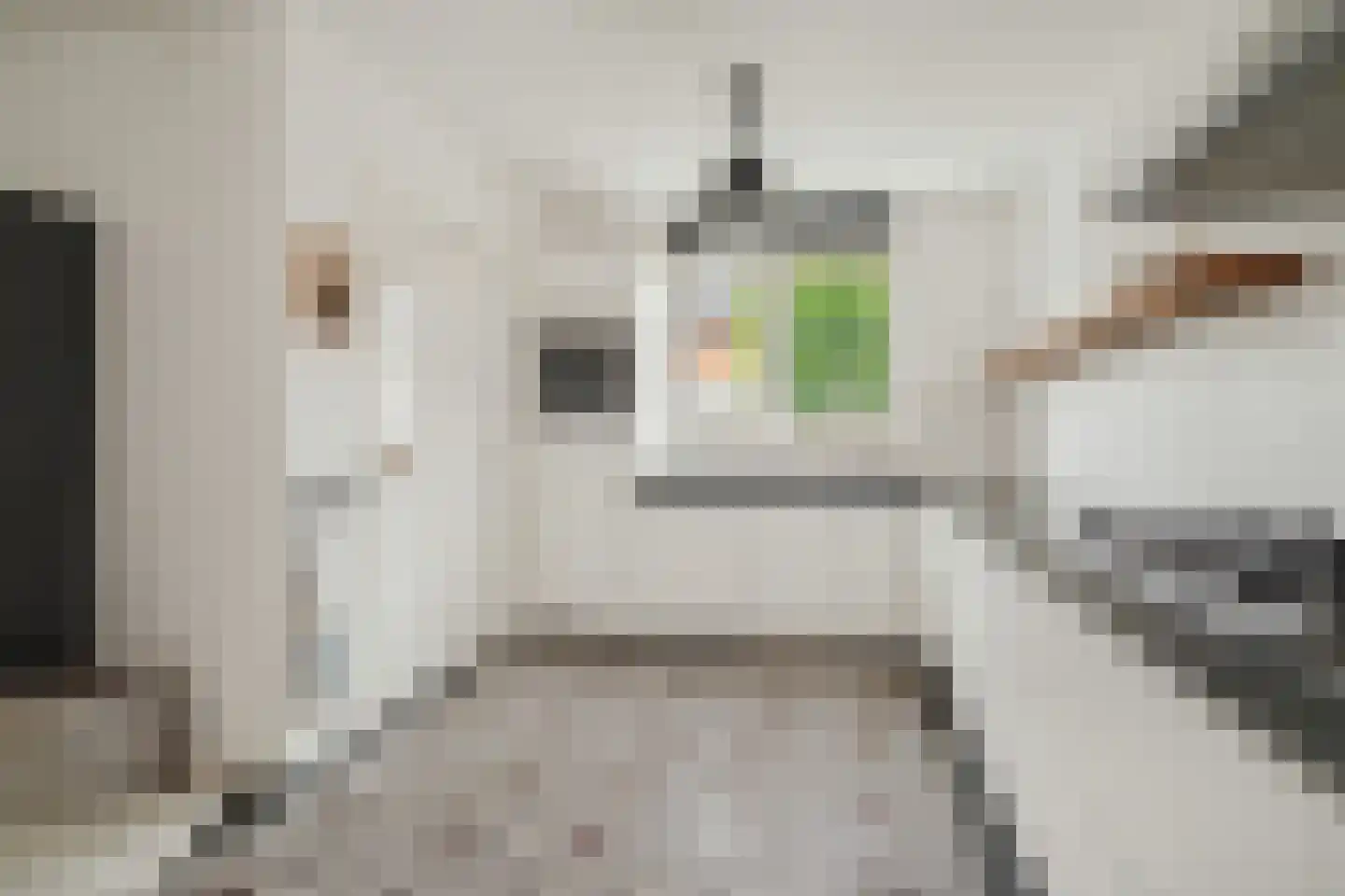 Horst 32 Chaam thumbnail 12