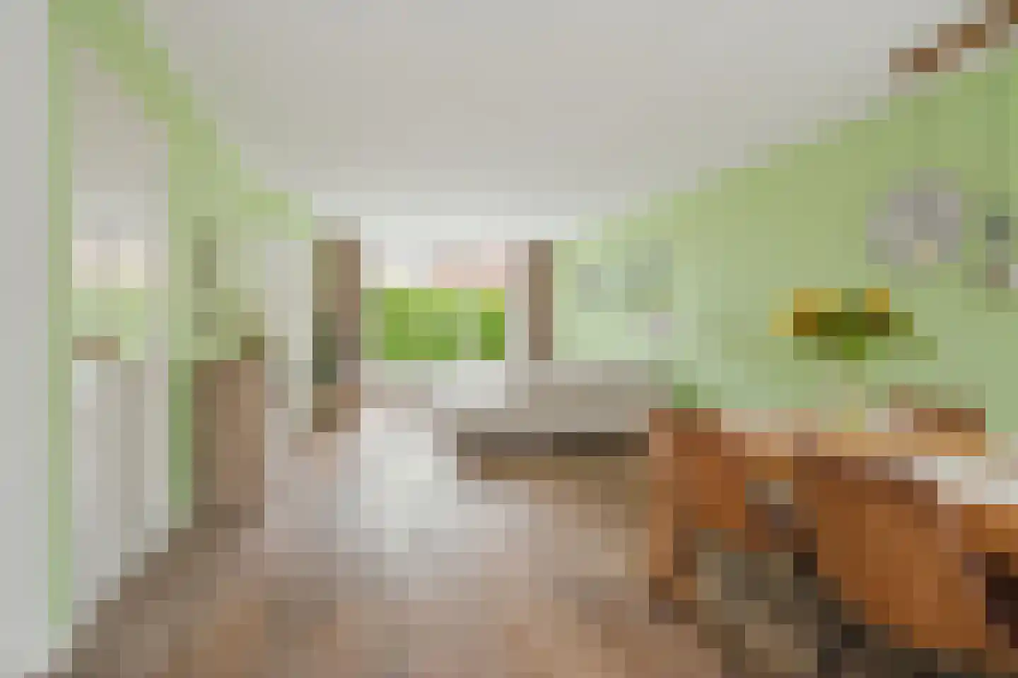 Horst 32 Chaam thumbnail 18