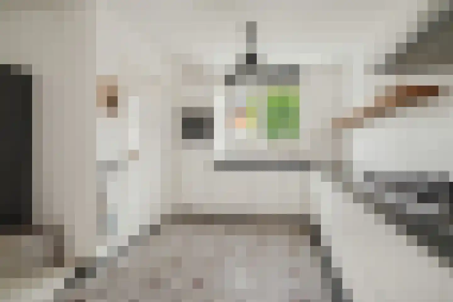 Horst 32 Chaam thumbnail 22