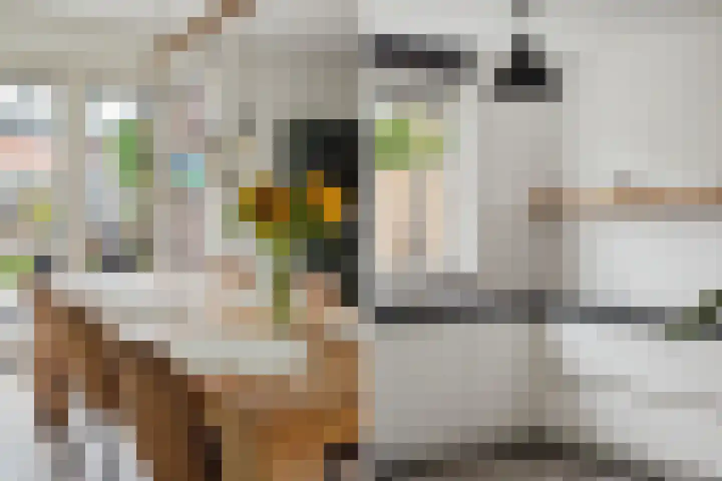 Horst 32 Chaam thumbnail 23
