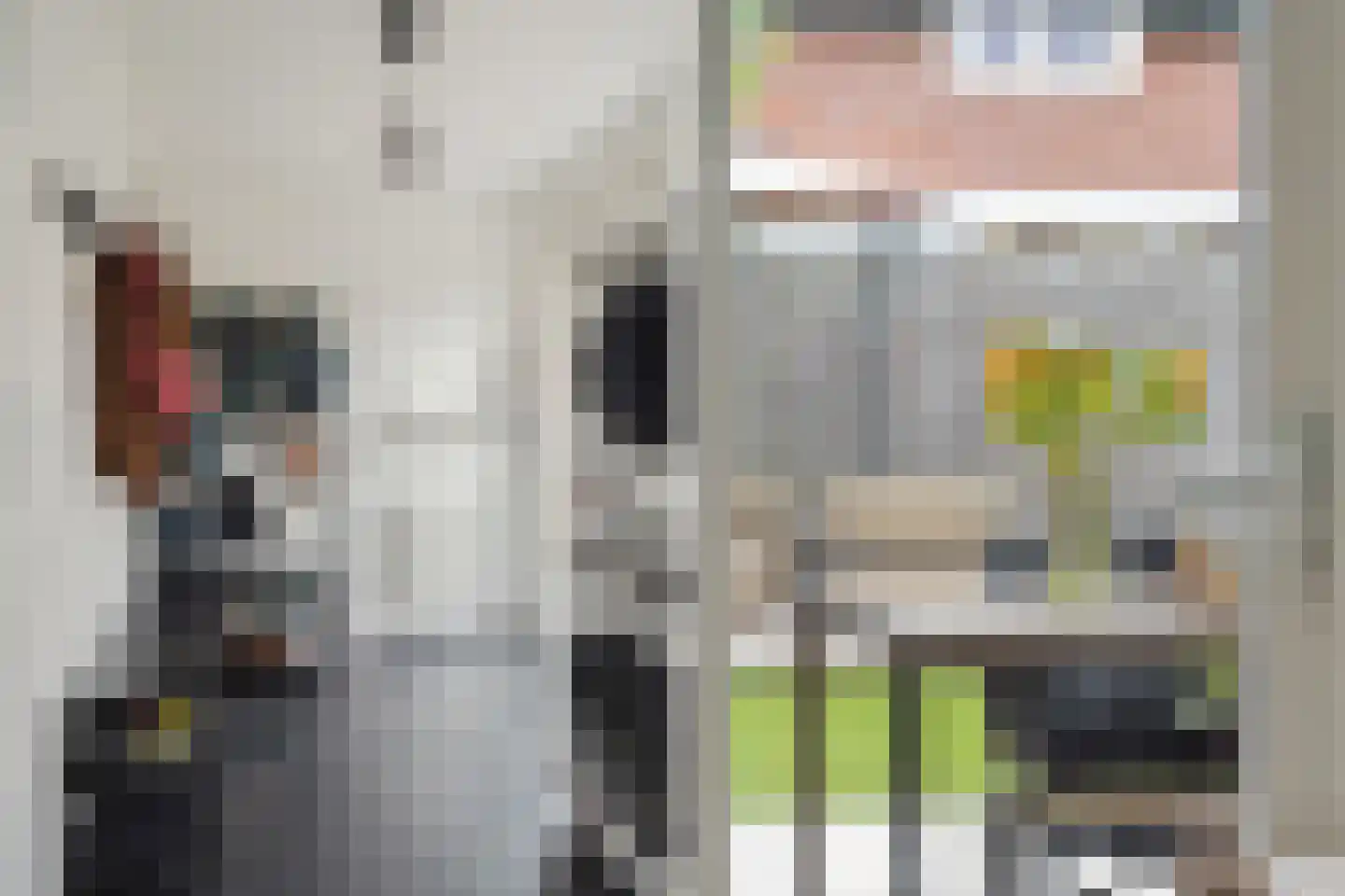 Horst 32 Chaam thumbnail 25
