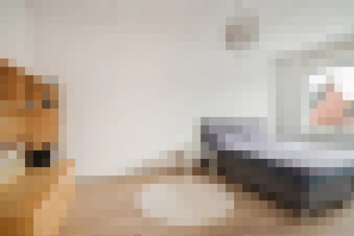 Horst 32 Chaam thumbnail 39