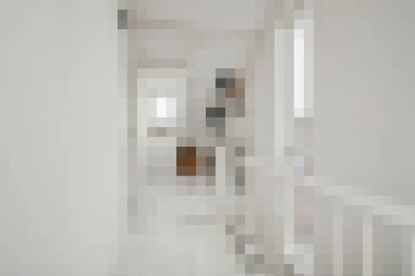 Horst 32 Chaam thumbnail 46