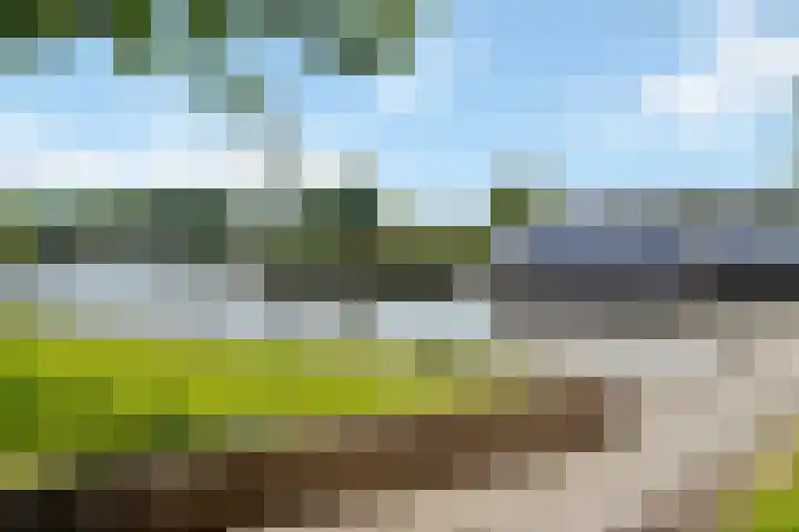 Horst 33 33 25 Lelystad thumbnail 30