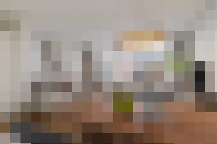 Horst 33 58 Lelystad thumbnail 13