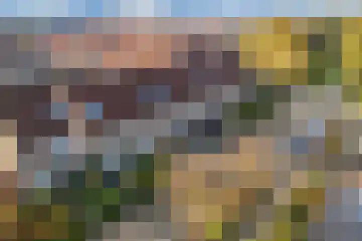 Horst 33 58 Lelystad thumbnail 5