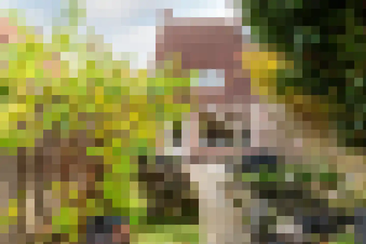 Horst 34 34 25 Lelystad thumbnail 26