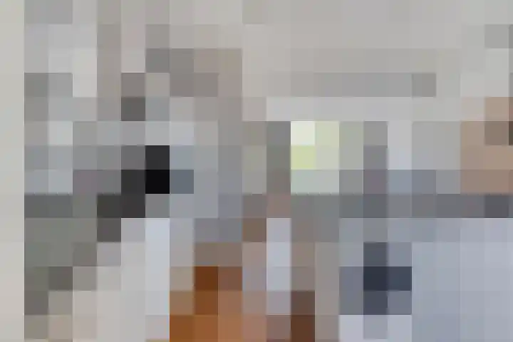 Horst 34 Chaam thumbnail 10