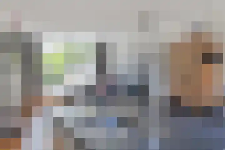 Horst 34 Chaam thumbnail 11