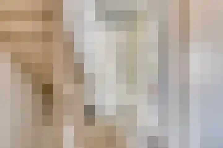 Horst 34 Chaam thumbnail 14