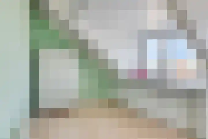 Horst 34 Chaam thumbnail 22