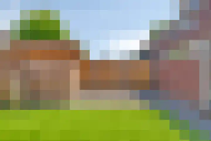 Horst 34 Chaam thumbnail 26