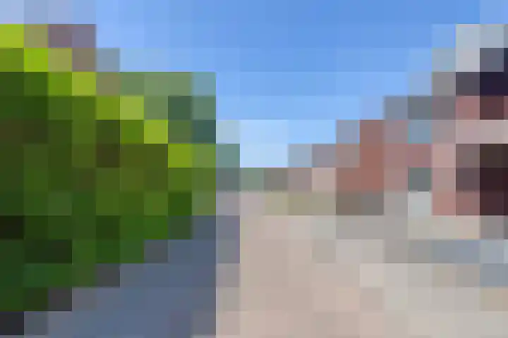 Horst 34 Chaam thumbnail 28