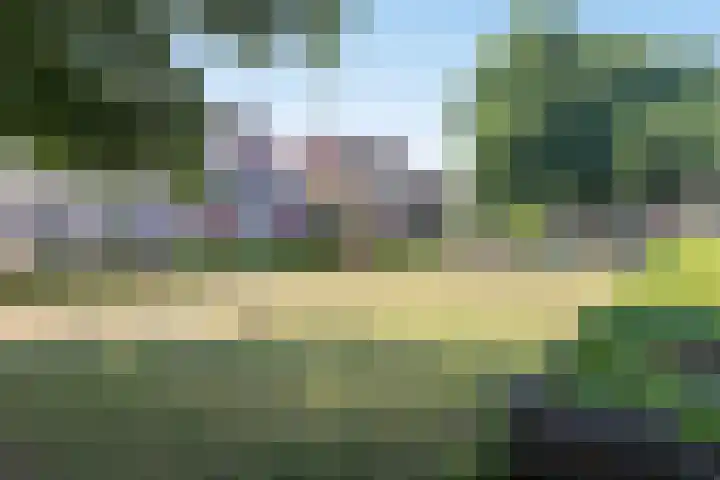 Horst 34 Chaam thumbnail 29