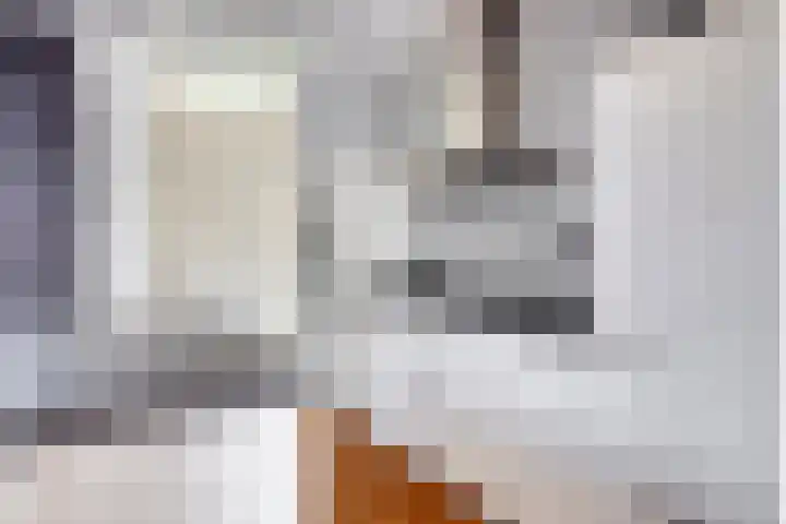 Horst 34 Chaam thumbnail 9