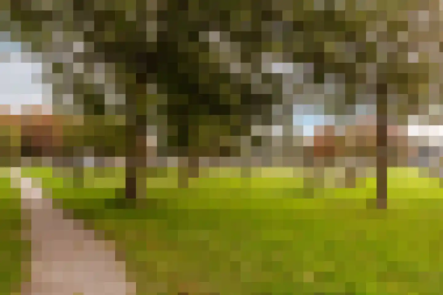 Horst 36 36 43-A Lelystad thumbnail 33