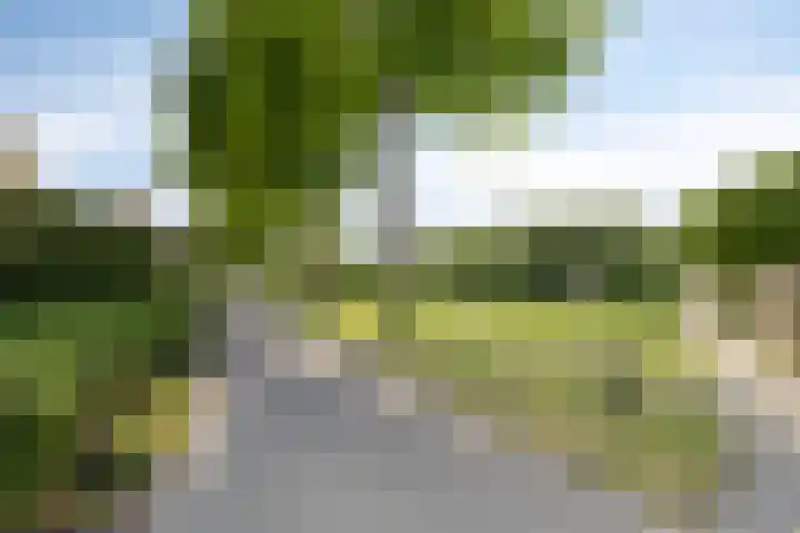 Horst 36 55 Lelystad thumbnail 26
