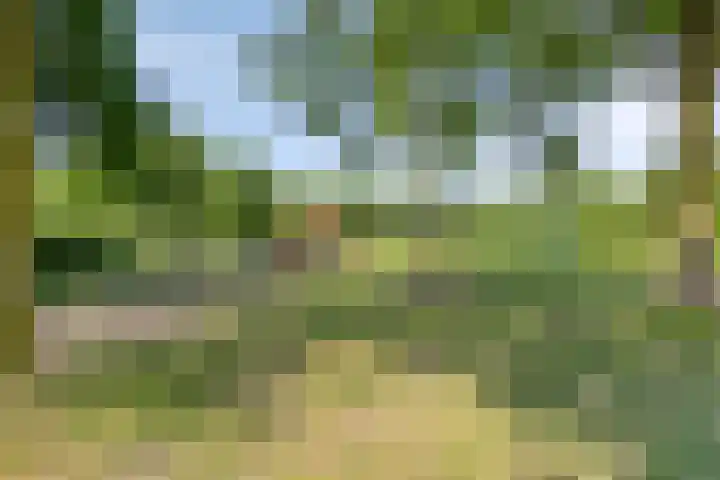 Horst 36 55 Lelystad thumbnail 27