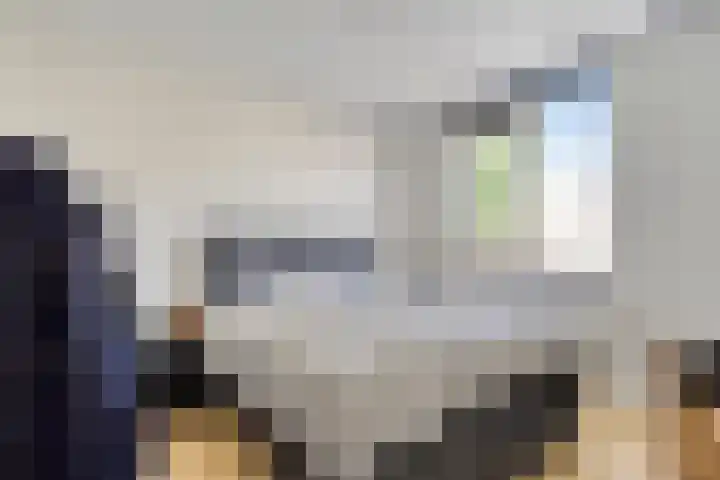 Horst 36 55 Lelystad thumbnail 7