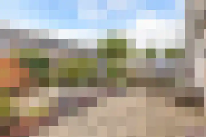 Horst 36 60 Lelystad thumbnail 20