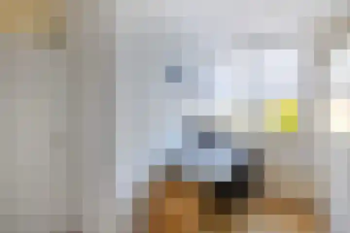 Horst 36 60 Lelystad thumbnail 33