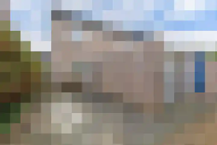 Horst 36 60 Lelystad thumbnail 4