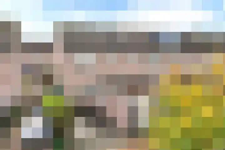 Horst 36 60 Lelystad thumbnail 40
